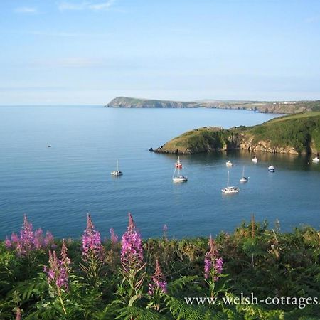Cwmbrandy Cottage Fishguard Exterior photo