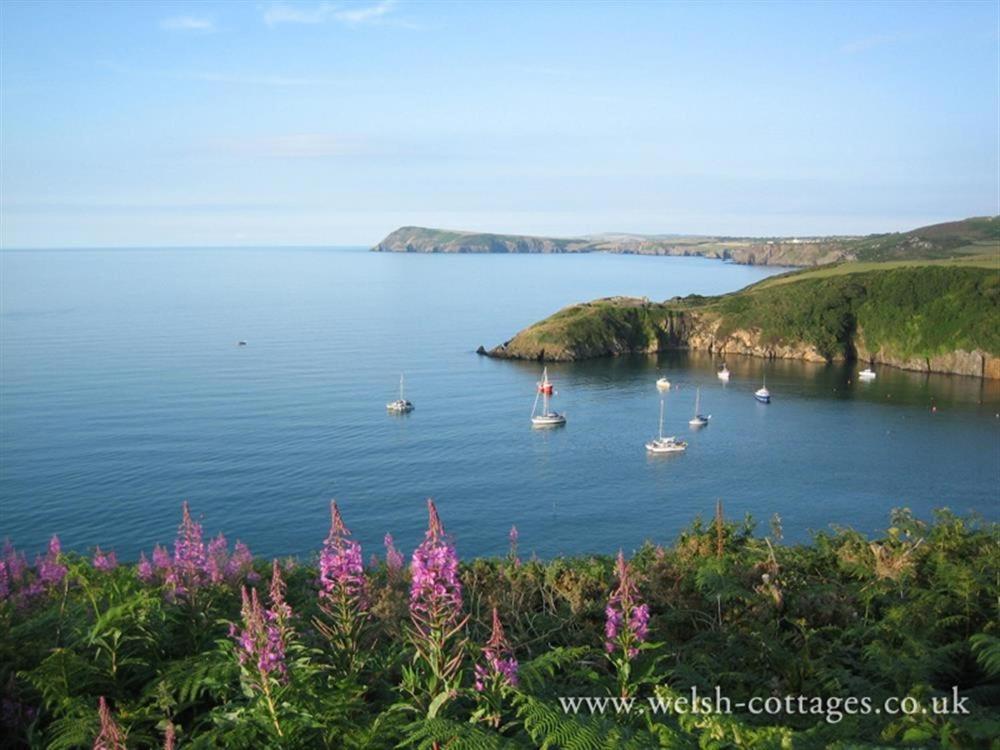 Cwmbrandy Cottage Fishguard Exterior photo